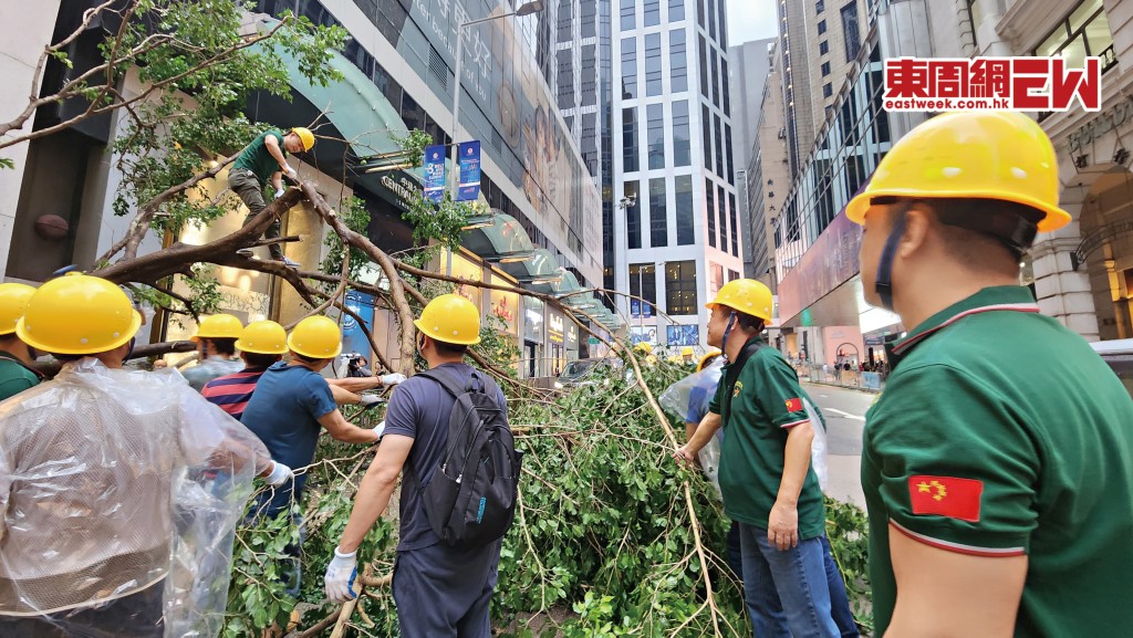 中國退伍軍人香港總會成員一行二十五人，在中環畢打街清理危及交通及行人安全的塌樹。