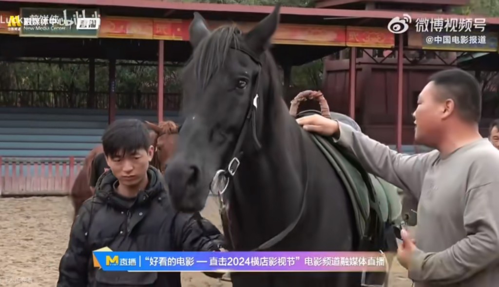 橫店馬術隊負責人介紹劉宇寧的專用馬「123」。