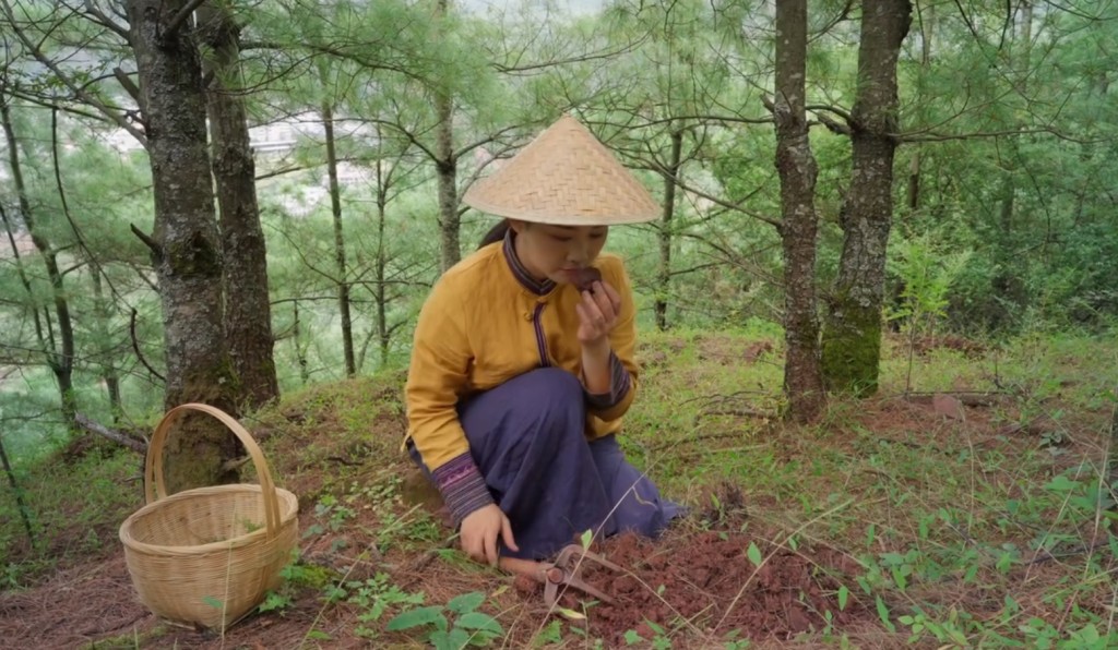 中國松露資源其實十分豐富，雲南及四川均是主要產地。