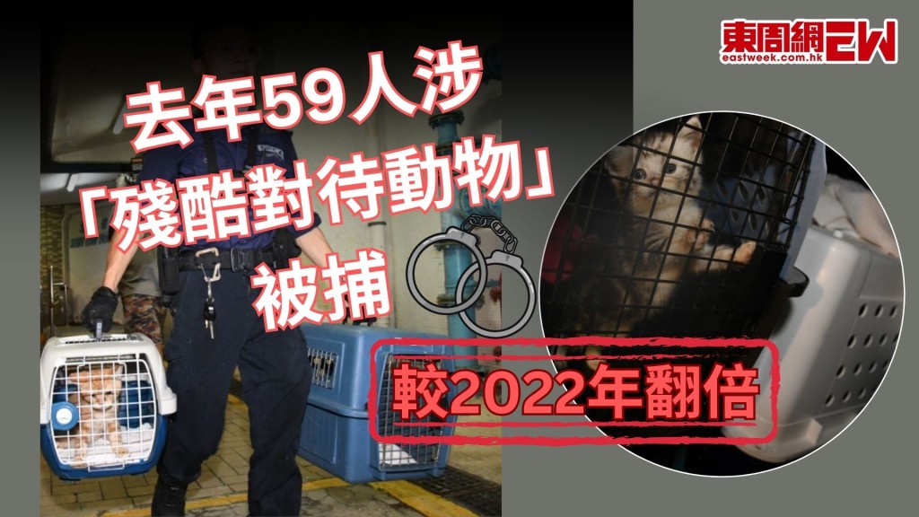 殘酷對待動物|2024年接71宗個案拘59人 僅22人被檢控