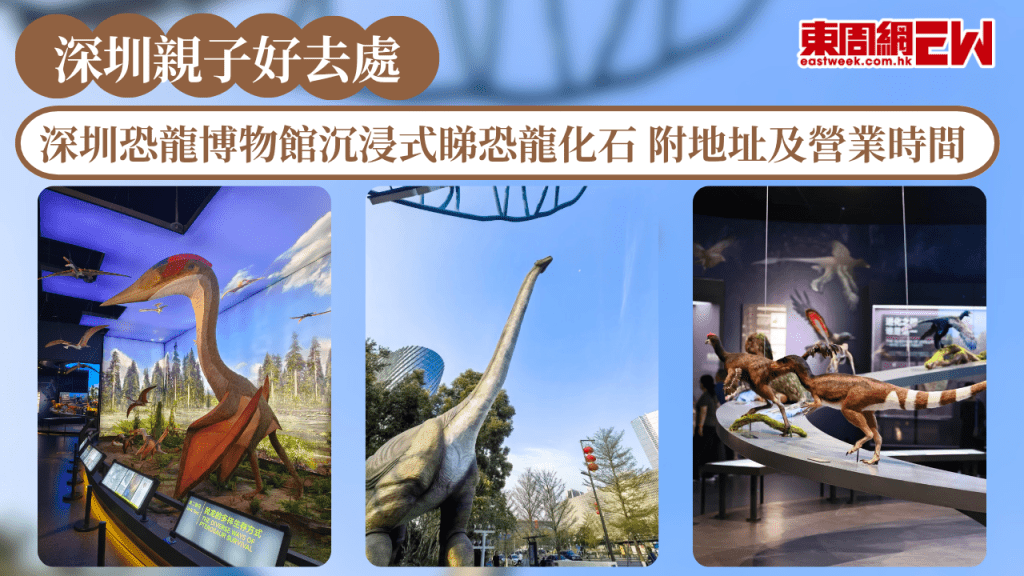 深圳親子好去處2026｜深圳恐龍博物館沉浸式睇恐龍化石 附地址及營業時間