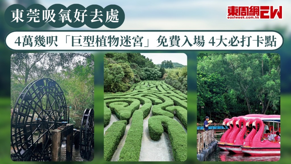 東莞吸氧好去處2026｜4萬幾呎「巨型植物迷宮」免費入場 4大必打卡點 彷彿步入《哈利波特》世界