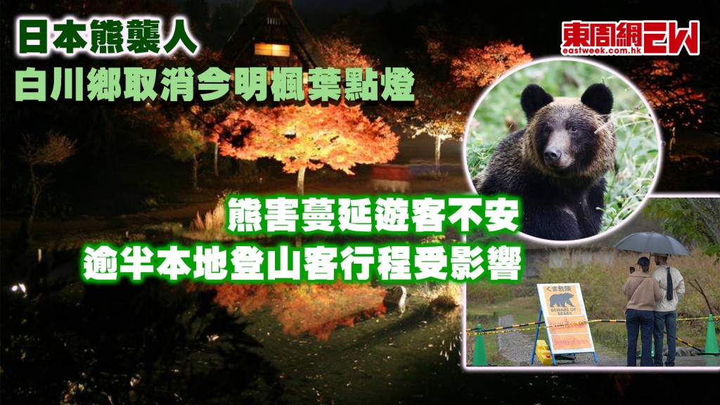 日本熊襲人|白川鄉取消今明楓葉點燈 熊害蔓延遊客不安 逾半本地登山客行程受影響