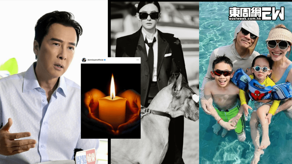 大埔宏福苑五級火｜藝人捐錢共渡難關 甄子丹、張栢芝、陳小春全家即各捐100萬提供緊急援助