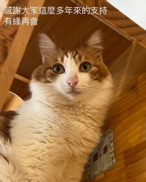 阿貓Cafe面書發出的告別帖。 阿貓Cafe面書發出的告別帖。