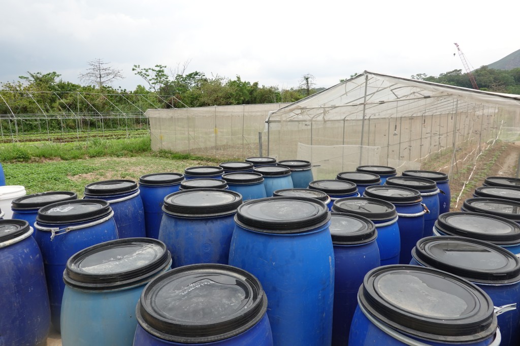 收集到美心集團的餐前廚餘,包括芒果皮、豆渣、三文魚骨、咖啡渣、蛋殼等,都放在藍色桶內，由上至下、由左至右整齊咁排列好，將廚餘轉化為酵素,用於強化土壤營養、防止害蟲,生產零農藥及零化肥的農產品。