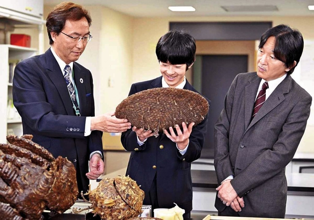 悠仁自細就喜愛昆蟲,中學時曾跟隨父親文仁(右)到玉 川大學昆蟲科學實驗室參觀。 悠仁自細就喜愛昆蟲,中學時曾跟隨父親文仁(右)到玉 川大學昆蟲科學實驗室參觀。