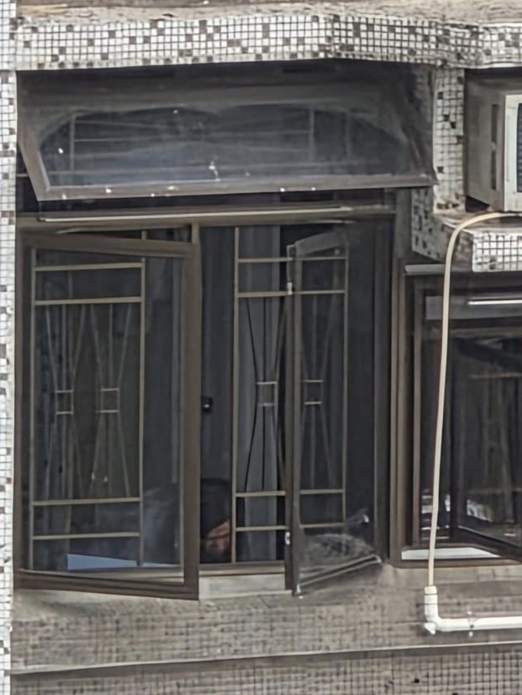 左邊窗戶亦沒有裝窗網，又開了窗。