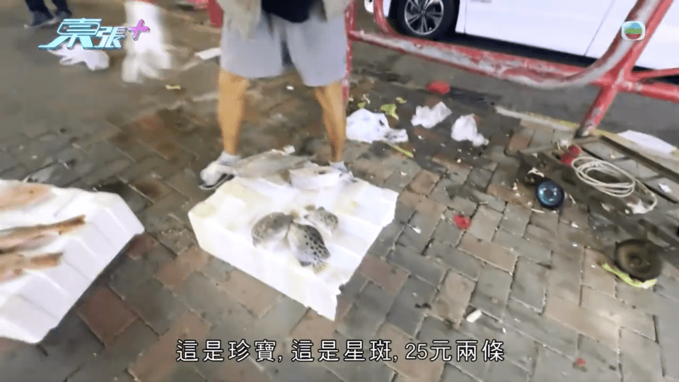 伯伯出售死魚來購買雞肉給山上的流浪犬食。(圖片來源:《東張西望》) 伯伯出售死魚來購買雞肉給山上的流浪犬食。(圖片來源:《東張西望》)