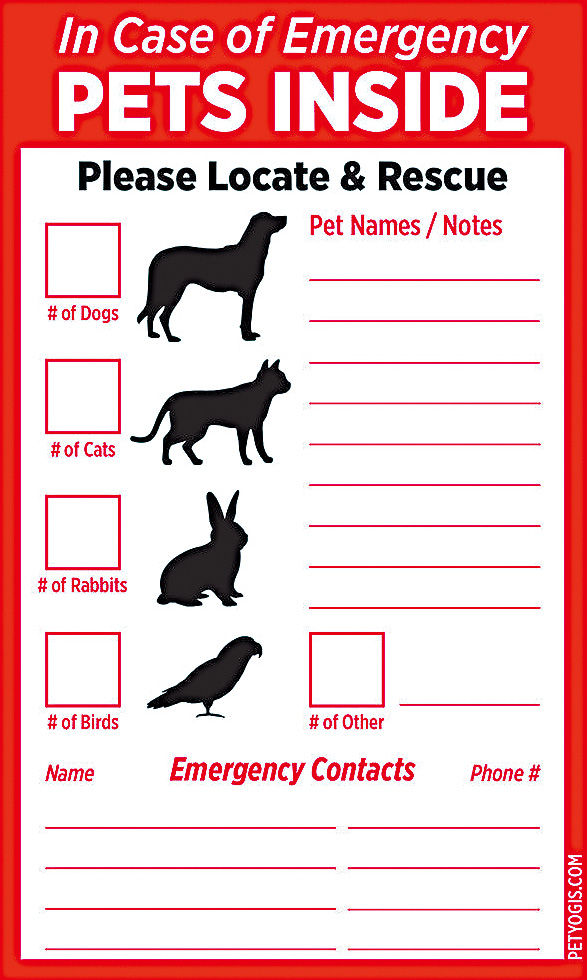 可在大門貼上寵物資料,幫助救援人員第一時間拯救愛寵。 可在大門貼上寵物資料,幫助救援人員第一時間拯救愛寵。