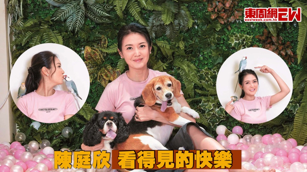 陳庭欣 看得見的快樂