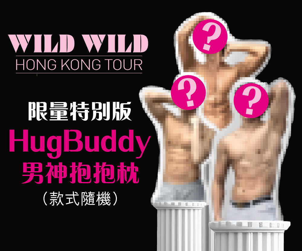限量特別版HugBuddy男神抱抱枕（單價$390）