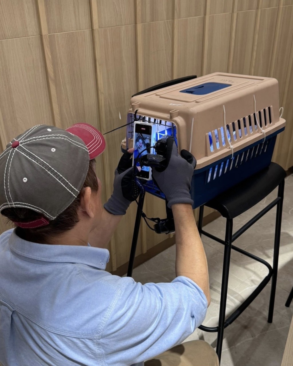 昨日毛守救援終於救起貓貓，帶到診所治療。