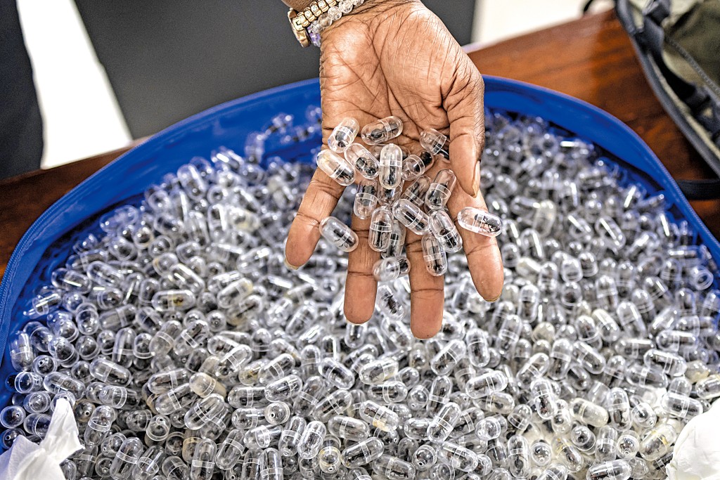 一名中國男子企圖偷運二千隻非洲蟻后回國，卻在亞肯機場被截獲。