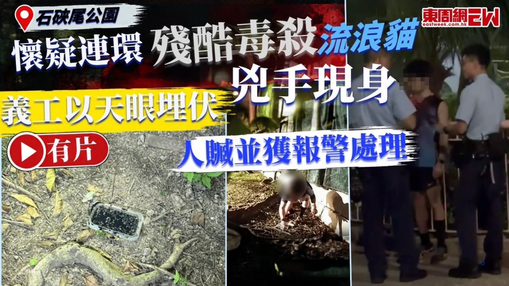 石硤尾公園驚揭連環懷疑殘酷毒殺流浪貓案件，有動物保護組織自設閉路電視鏡頭搜證，成功鎖定一名夜跑男子，隨即採取埋伏行動，當場將涉案男子截獲並報警。