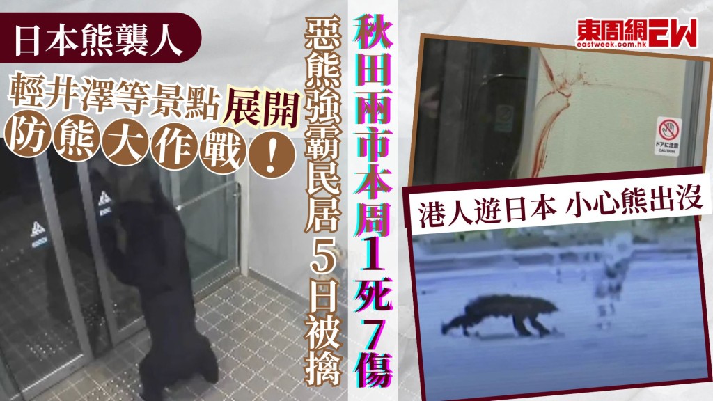 日本熊襲人｜輕井澤等景點展開防熊大作戰！ 秋田兩市本周1死7傷 惡熊強佔民居5日被擒