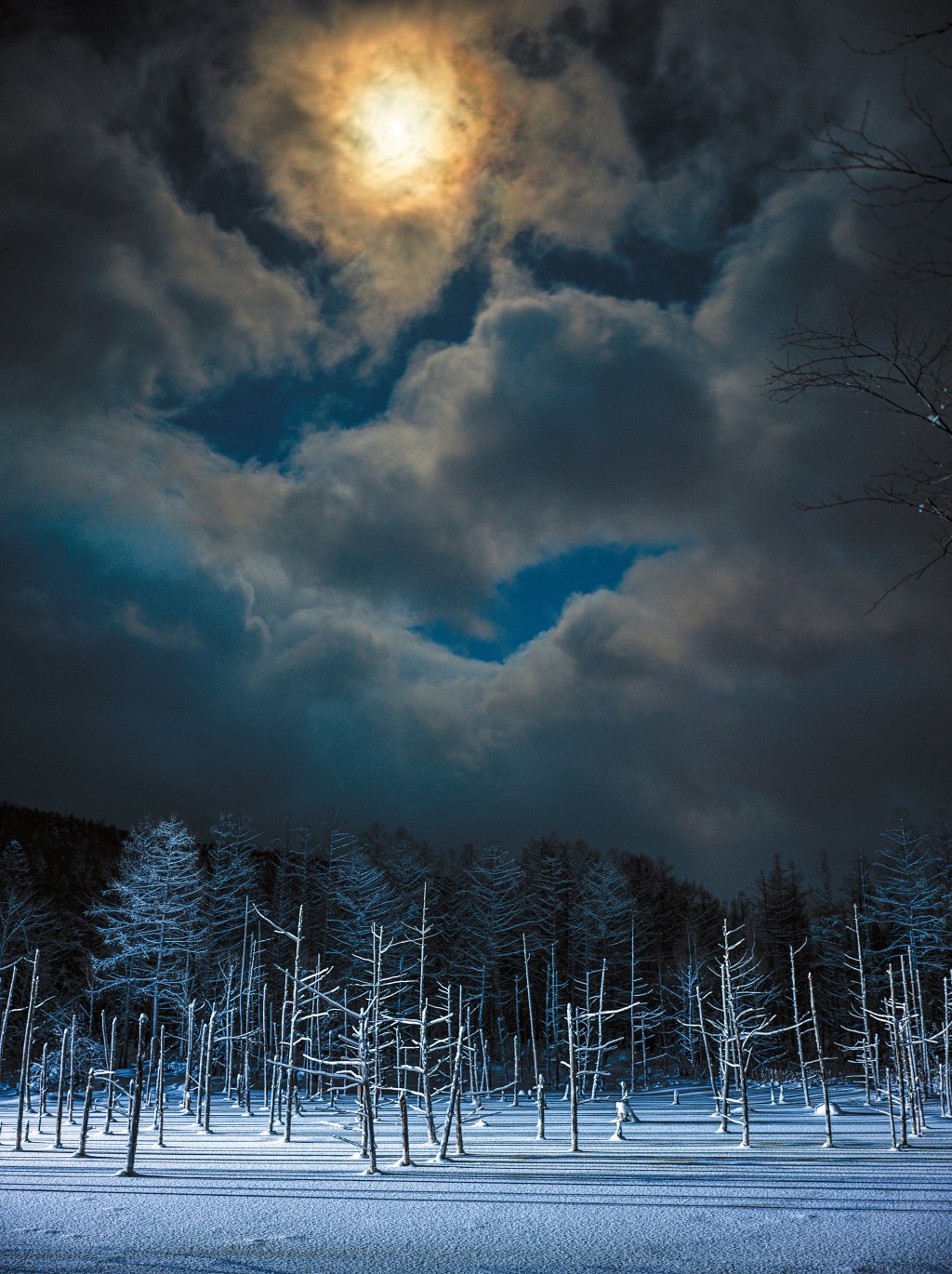 熱愛攝影的葉傲冬， 一有時間便會拿着相機到處拍攝。