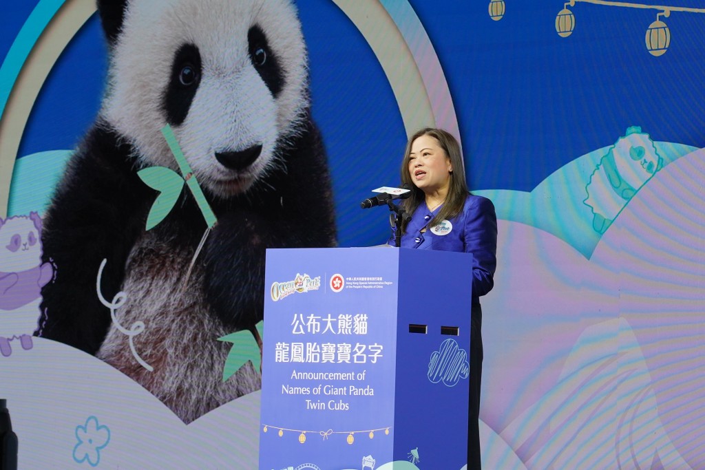 羅淑佩指,翻閱市民的姓名建議時,感受到市民對龍鳳胎寶寶寵愛有加。 羅淑佩指,翻閱市民的姓名建議時,感受到市民對龍鳳胎寶寶寵愛有加。