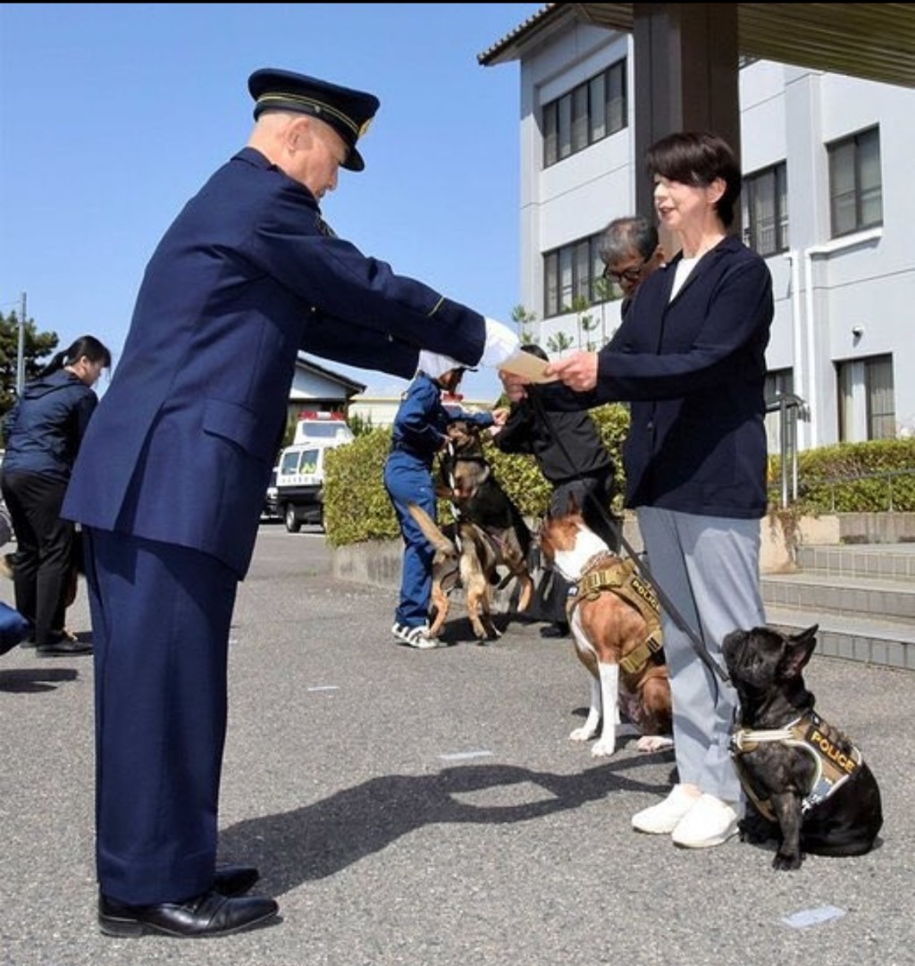在頒發警犬委任狀時,Oreo非常專注。 在頒發警犬委任狀時,Oreo非常專注。