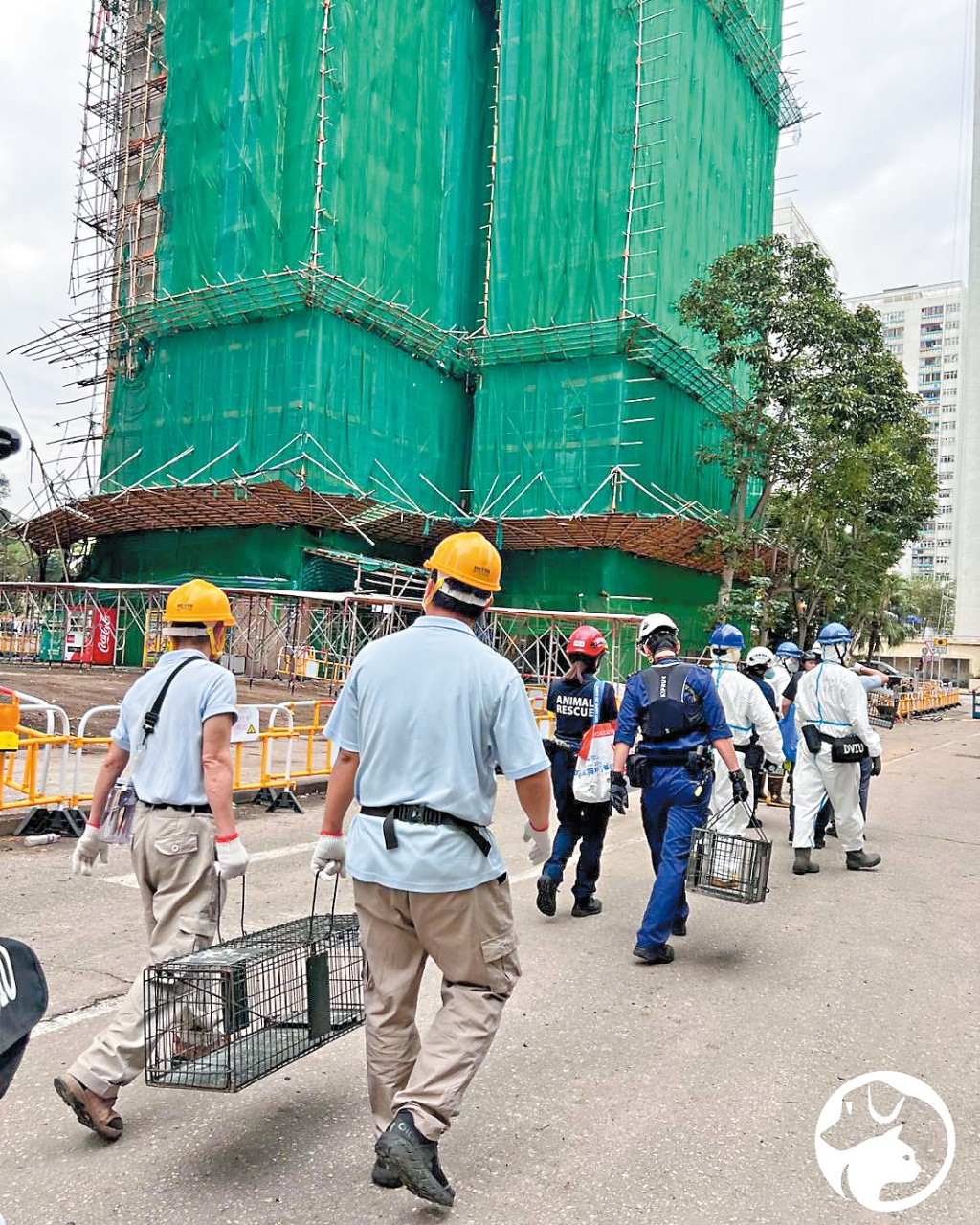 愛護動物協會近日獲警方批准，在宏福苑其中五幢大廈附近，放貓籠「救貓」。