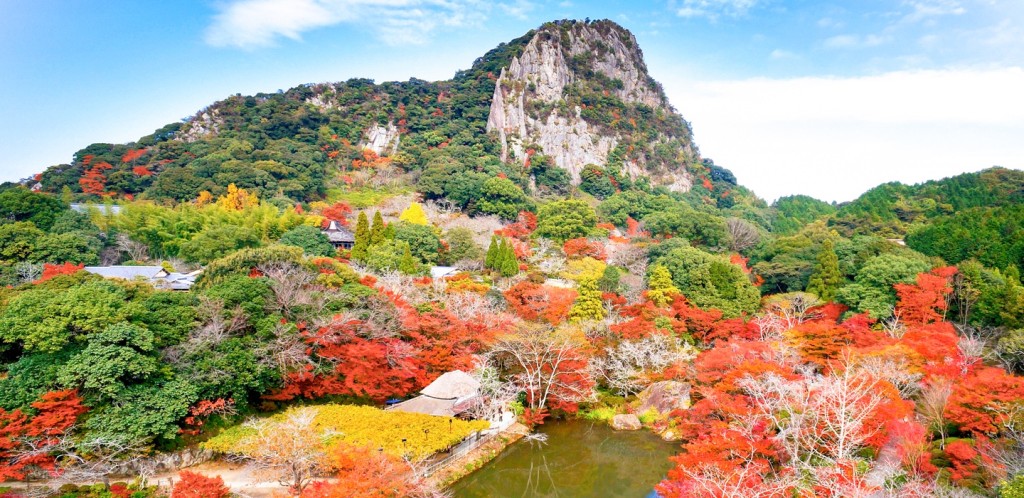御船山樂園秋色迷人,吸引不少人前來打卡。 御船山樂園秋色迷人,吸引不少人前來打卡。