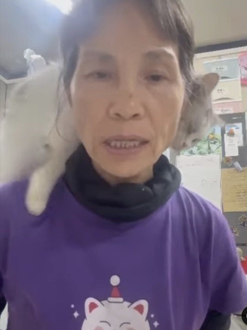 沙律媽傍晚拍片,晚上在面書發帖求支援。 沙律媽傍晚拍片,晚上在面書發帖求支援。