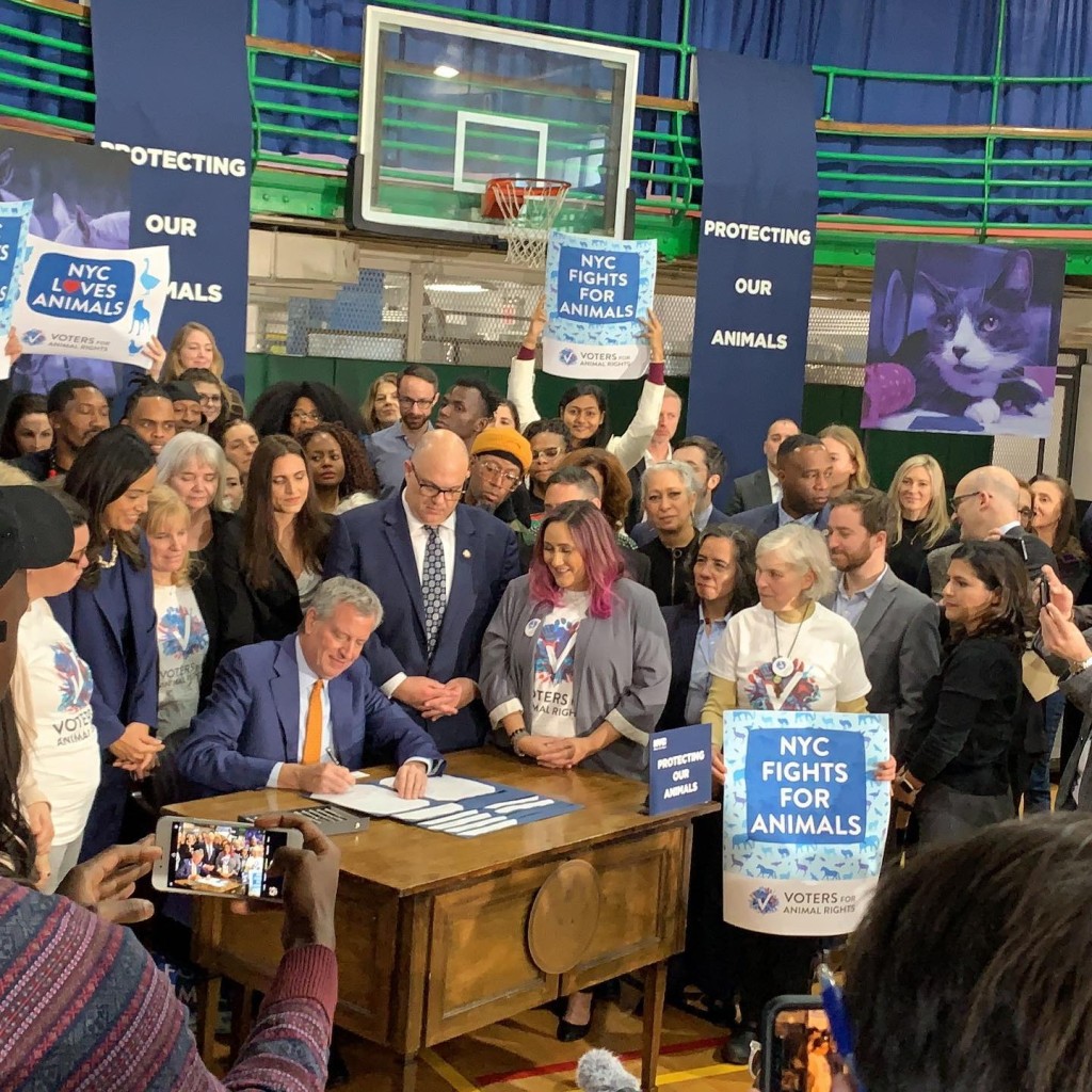 前紐約市市長白思豪早於一九年已簽署鵝肝禁令,但因法律訴訟糾纏,至今才由紐約州上訴法院確定執行。 前紐約市市長白思豪早於一九年已簽署鵝肝禁令,但因法律訴訟糾纏,至今才由紐約州上訴法院確定執行。