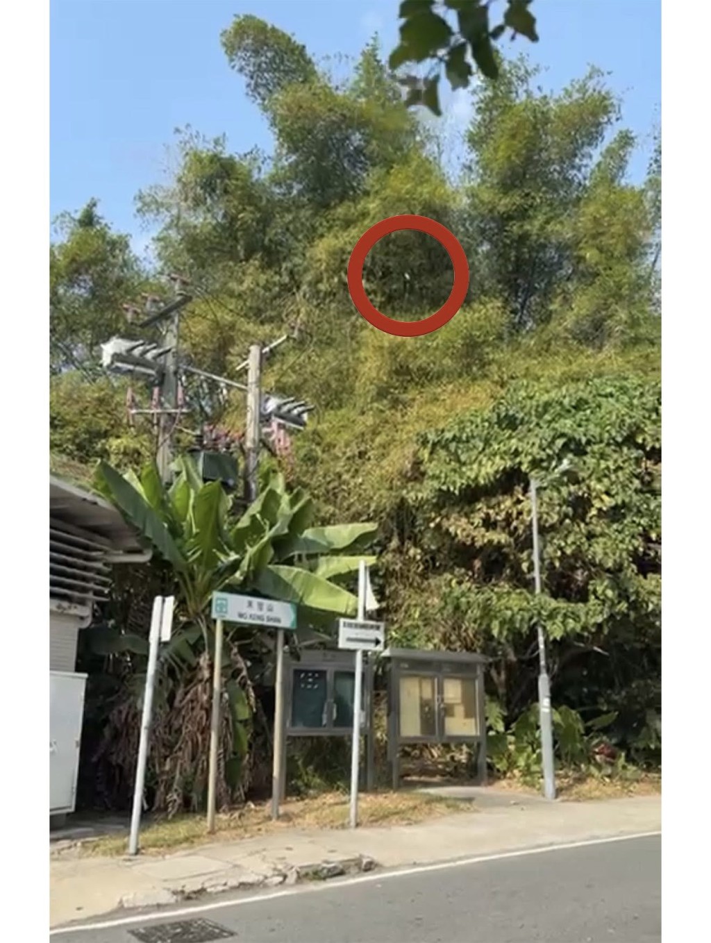 主人一直在現場勸說及守候。