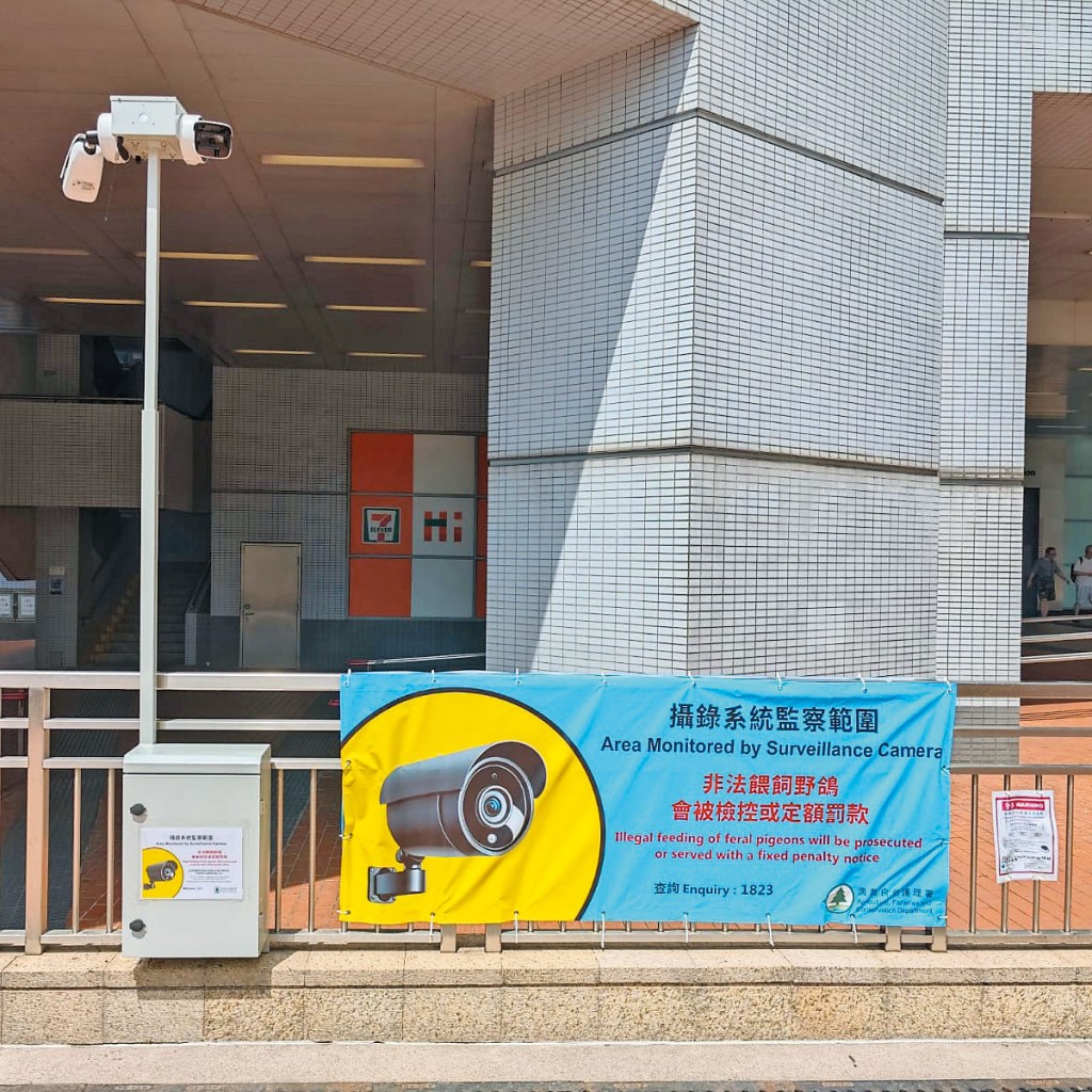 漁護署在港鐵坑口站一帶的餵飼黑點試用配備人工智能技術的監察系統，提升打擊非法餵飼野鴿的執法成效。