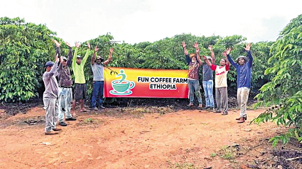 Fun Coffee聲稱於埃塞俄比亞擁有咖啡種植場。 Fun Coffee聲稱於埃塞俄比亞擁有咖啡種植場。