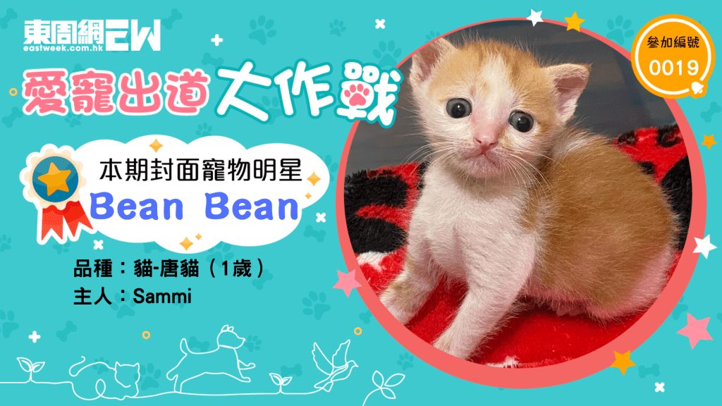 本期封面小明星Bean Bean