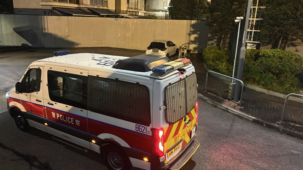 警方接報到場，發現私家車車頭泵把損毀，聯絡車主跟進，列作「流浪動物」處理。Facebook 香港突發事故報料區及討論區 圖片 