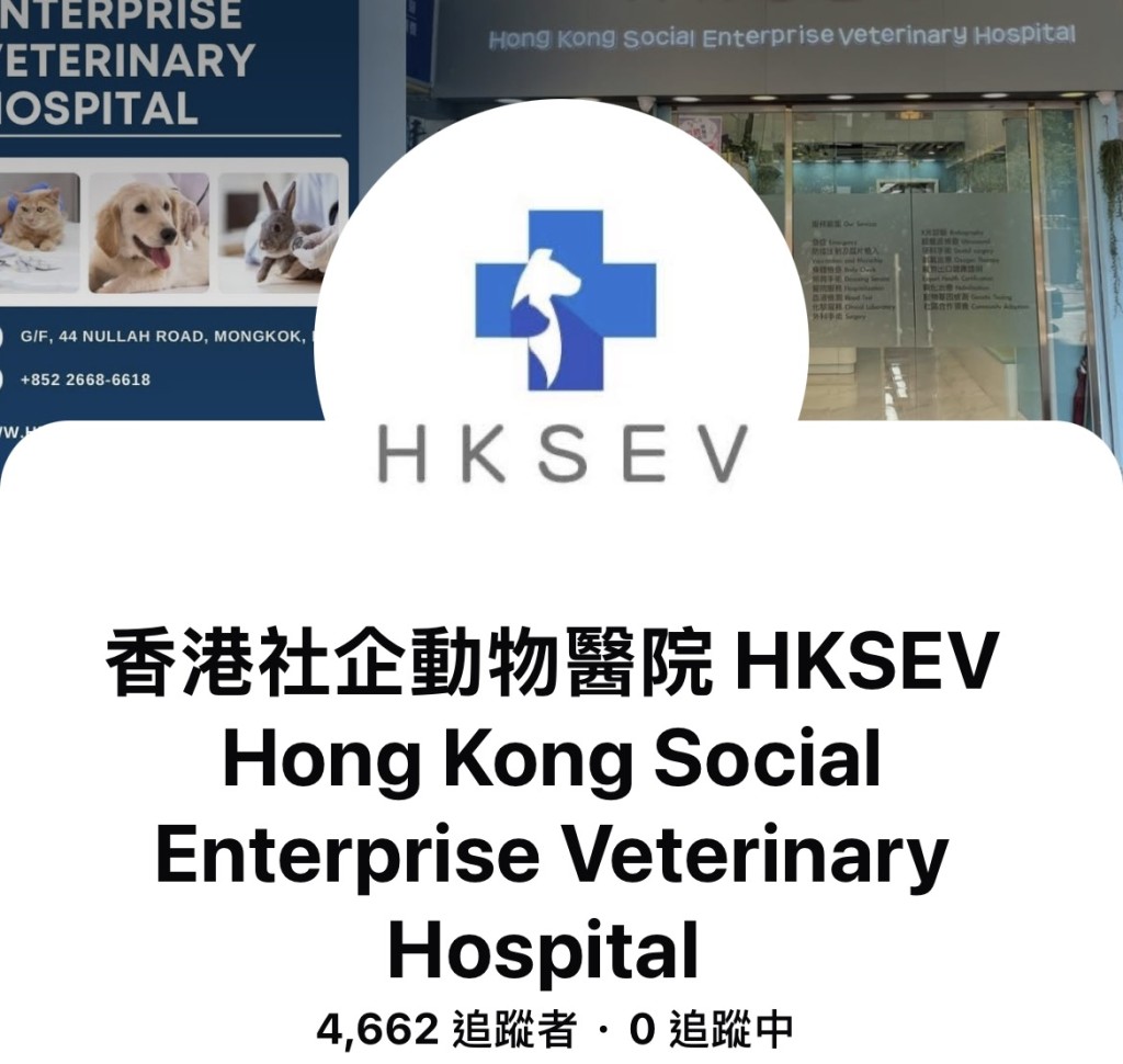 香港社企動物醫院 香港社企動物醫院