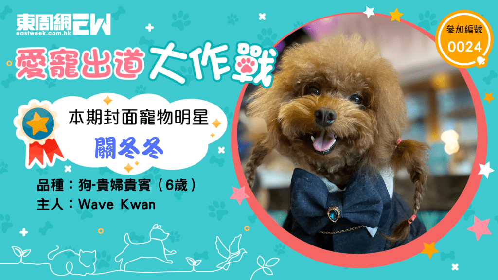 本期封面小明星關冬冬