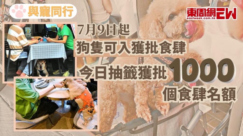 寵物友善措施即將施行，食物環境衞生署今日（12日）公布，由7月9日起，狗隻可進入獲批准的食肆，食環署今日已進行公開抽籤，並按抽籤結果編配1,000個容許狗隻進入的食肆名額。