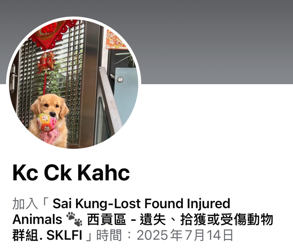 狗主的fb戶口,如有任何狗狗消息可到fb私訊牠。 狗主的fb戶口,如有任何狗狗消息可到fb私訊牠。