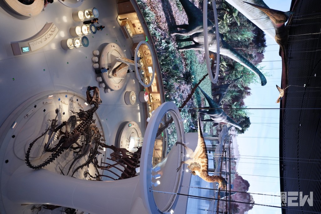 深圳自然博物館，有以恐龍為主題9展廳，定必成小孩的最愛展館。