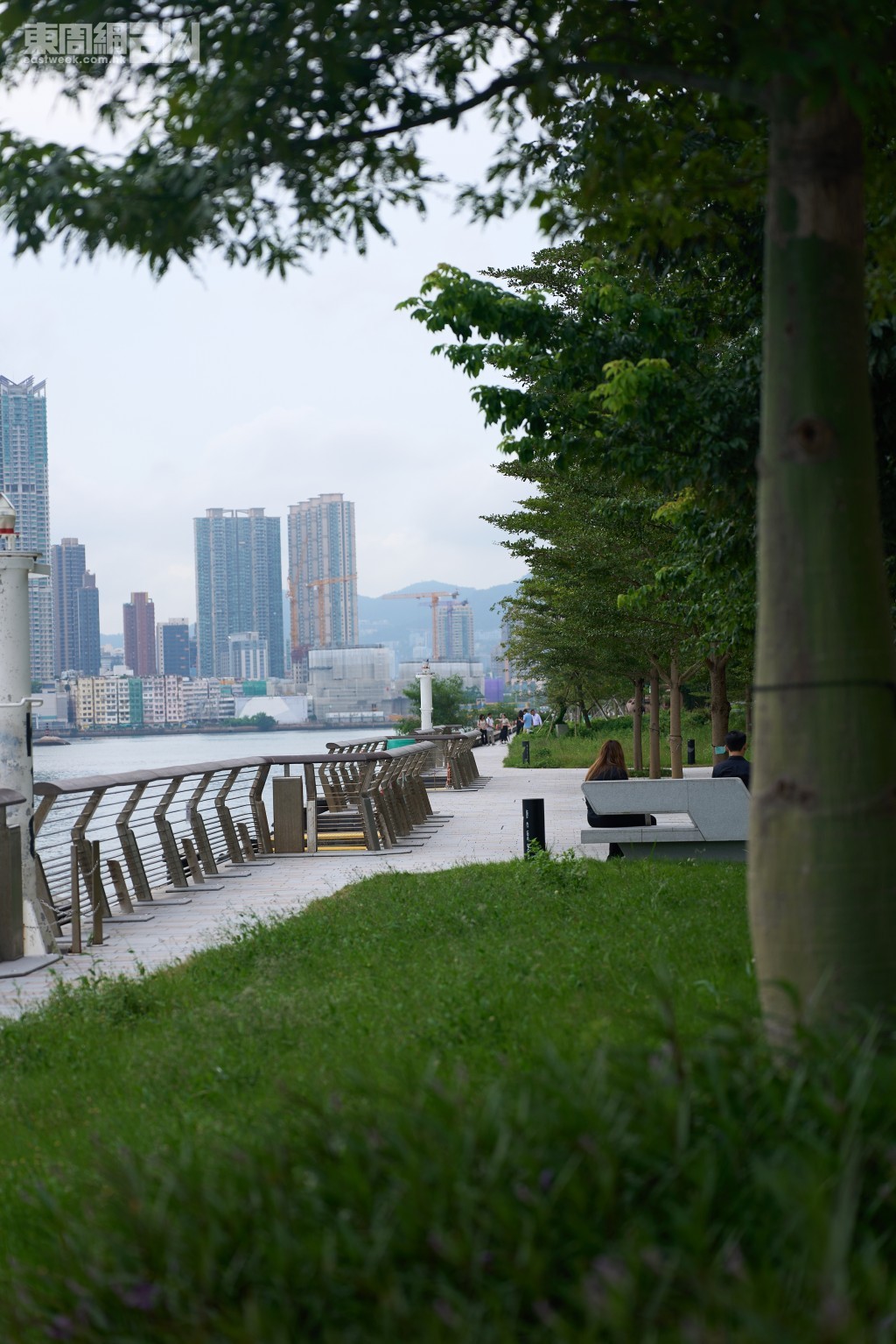 公園設有大片臨海草坪。 公園設有大片臨海草坪。
