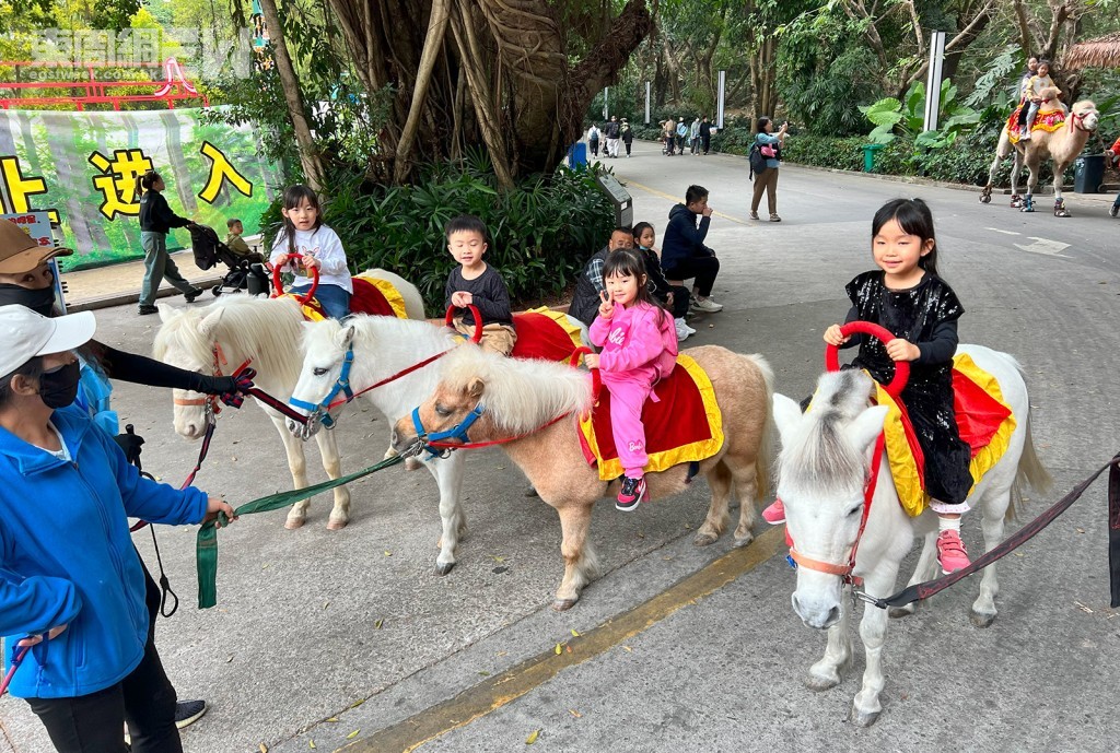 小朋友可以騎馬仔合照或騎馬仔在園區裏行走一會兒，感受一下騎馬仔的樂趣。