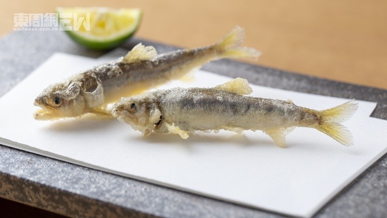 來自米芝蓮星級名店「天よこた」的天婦羅，口感鬆軟，完美體現職人現炸時令鮮味。
