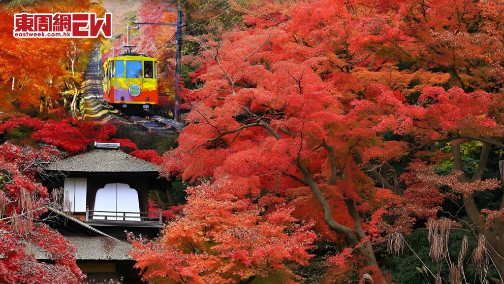 日遊好去處2026｜關東秋日賞紅葉8大人氣熱點