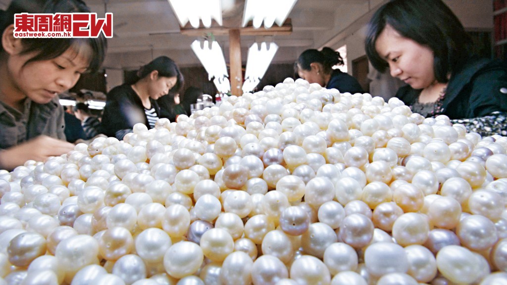 下湖鎮二二年珍珠銷售金額超過四百億元，該鎮有近七成居民從事珍珠養殖、加工及銷售工作。