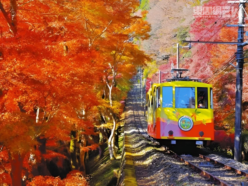 乘高尾山纜車可沿途盡覽紅葉絕景。