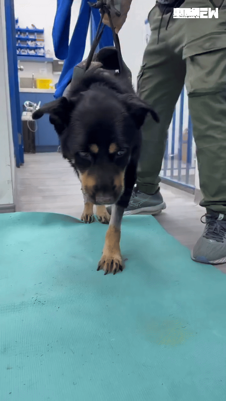 加油~洛洛，好多哥哥姐姐撐你！