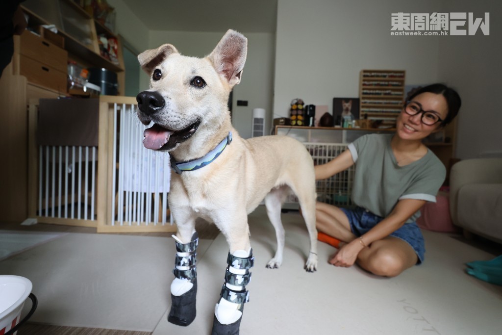 來自台灣的雨停穿上義肢鞋活動自如，現時已經懂得聽廣東話指令。