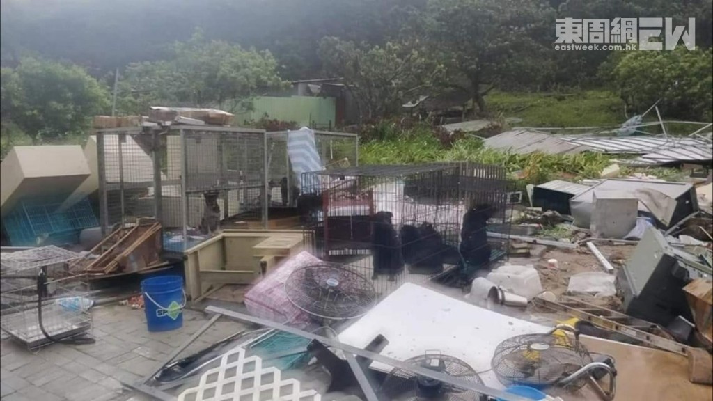 「超級颱風」山竹重創「老有所依動物村」位於大埔的狗舍。