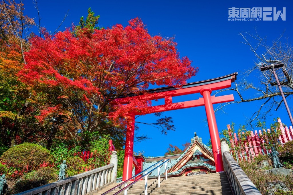 高尾山藥王院是必到紅葉景點。 