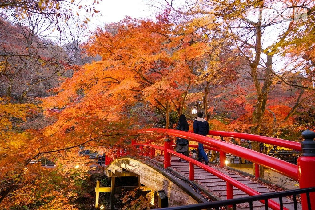 河鹿橋橋身為鮮豔的朱紅色，秋季被滿山紅葉環繞。