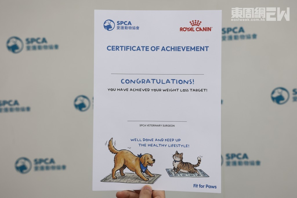 愛協推出Fit for Paws，參與者完成後會獲得證書。
