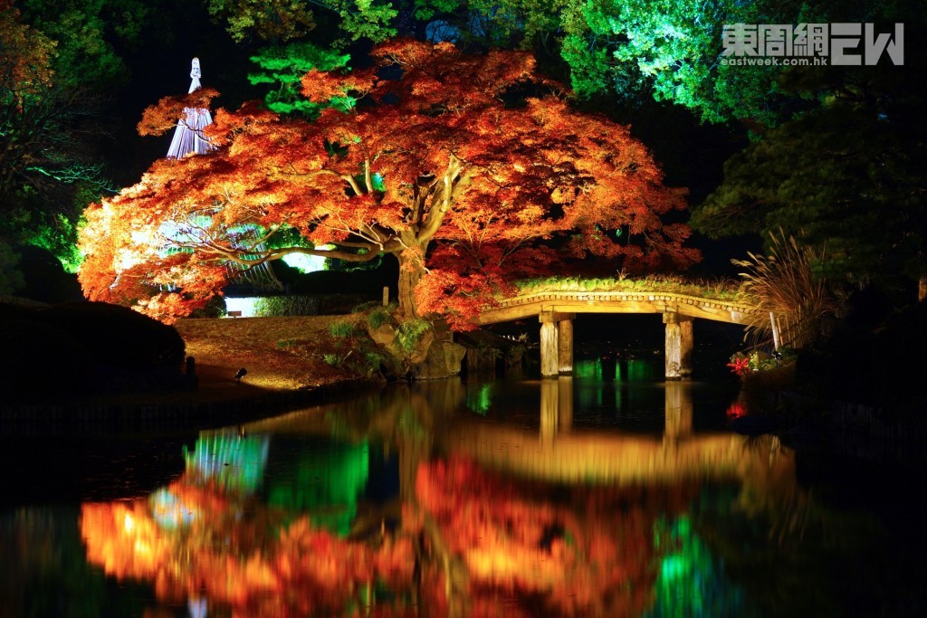 紅葉倒映在中央大池的水面上，形成如夢似幻景致。 